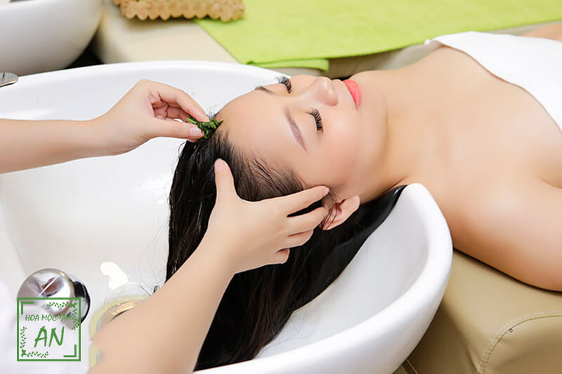 Bài độc da đầu