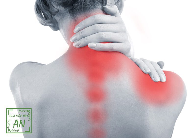 Các bài tập giảm đau vai gáy