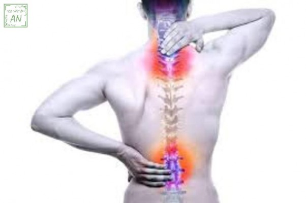 Đau lưng mỏi gối thường xuất hiện ở người cao tuổi