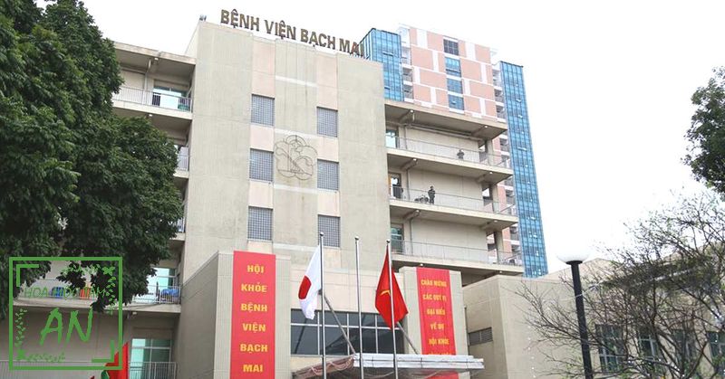 Khám lưng ở đâu Hà Nội? Đến Bệnh viện Bạch Mai