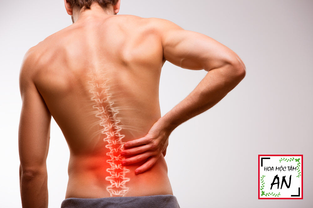Dấu hiệu của bệnh đau lưng