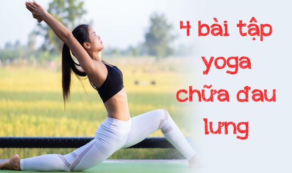 Lợi ích từ bài tập yoga chữa đau lưng của Nguyễn Hiếu