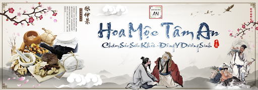 Gội Đầu Dưỡng Sinh