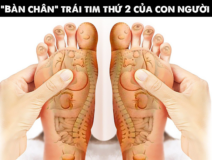 Bàn chân có vai trò cục kỳ quan trọng đối với cơ thể con người