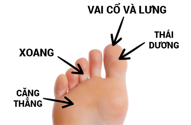 Mỗi vị trí trên bàn chân đều có liên quan đến một cơ quan khác