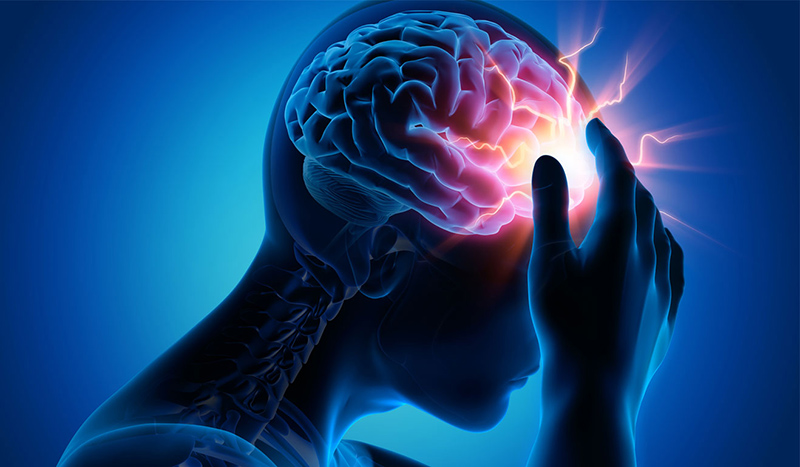 Túc dưỡng tâm thang kích thích máu lưu thông lên não