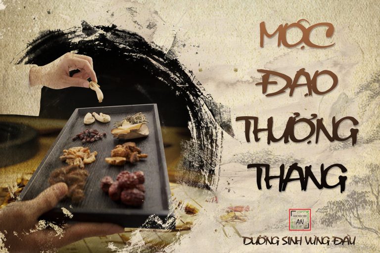 Liệu trình gội đầu dưỡng sinh Mộc Đạo Thượng Thang
