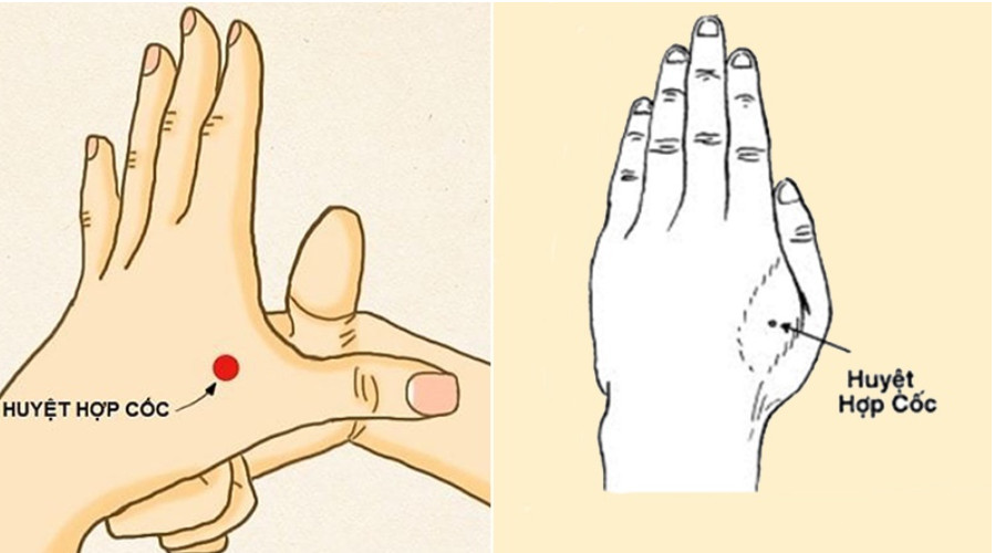 Có 2 cách xác định vị trí huyệt đạo này