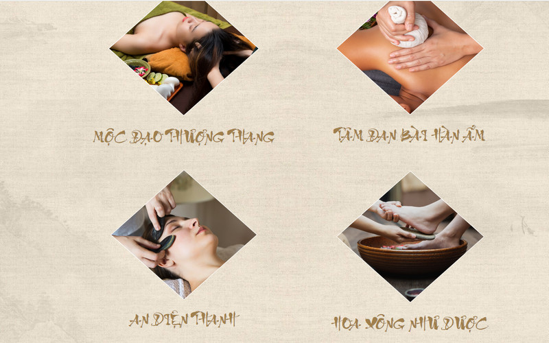 Hoa Mộc Tâm An có nhiều dịch vụ chăm sóc sức khỏe cho con người an toàn
