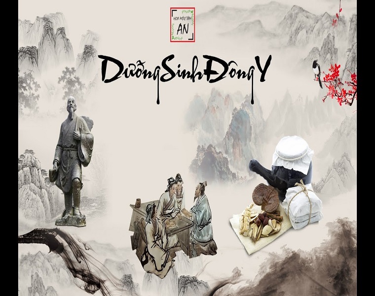 Chăm sóc thận bằng phương pháp dưỡng sinh đông y tại Hoa Mộc Tâm An